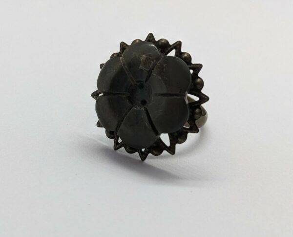 ring frou fan staal