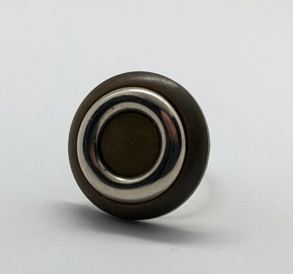 Ring dwiel
